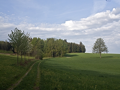Feldweg